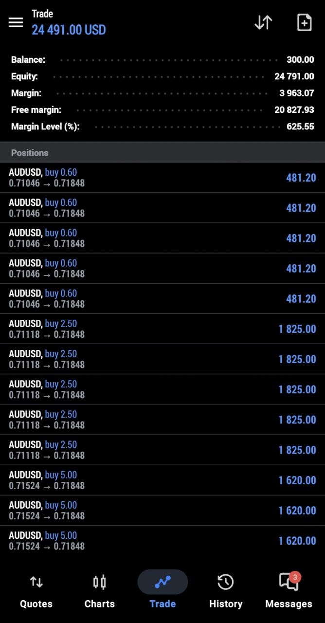 AUDUSD intraday · $24,491 floating